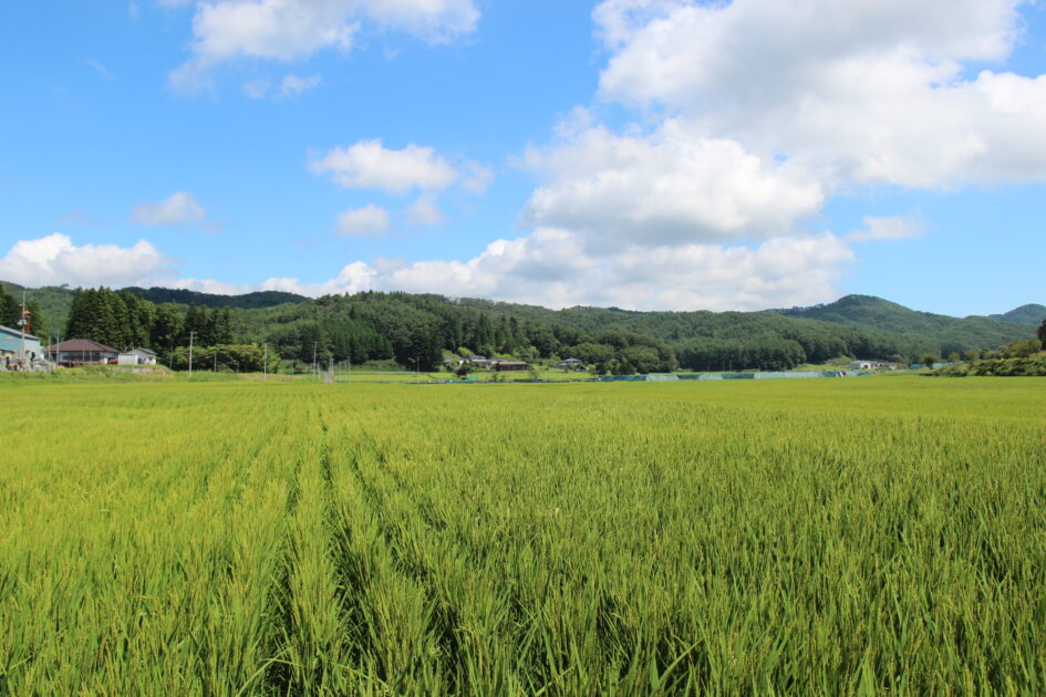 福島県相馬郡 飯舘村への移住について知る 未来ワークふくしま